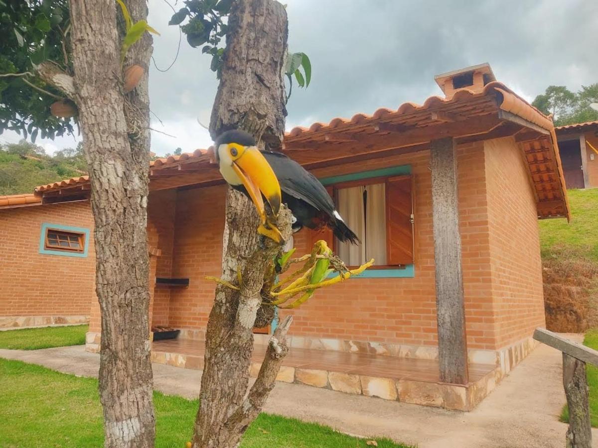 Villa Nova Chales Lima Duarte Exterior photo